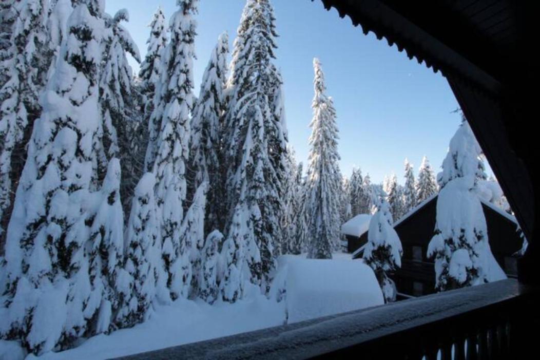 Chalet Trzinka - Triglav National Park Goreljek Ngoại thất bức ảnh